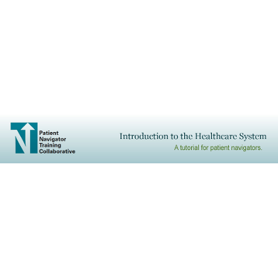 Introduction to the Healthcare System icon