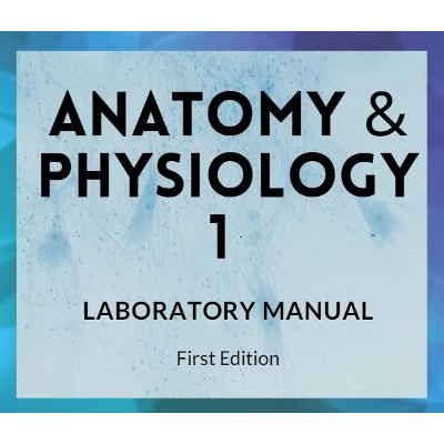 Anatomy & Physiology 1 Lab Manual icon