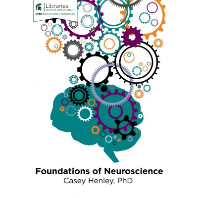 Foundations of Neuroscience icon