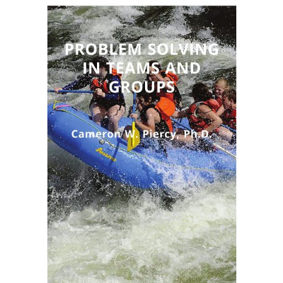 Problem Solving in Teams and Groups icon