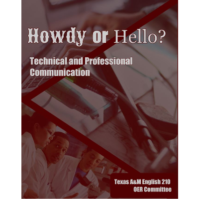 Howdy or Hello?: Technical and Business  Communications - Revised Pilot Edition icon