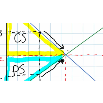 Efficiency in Perfectly Competitive Markets icon