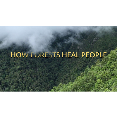 Forest Bathing | Shinrin-Yoku | Healing in Nature | Short Documentary
