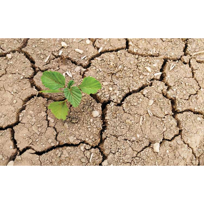 Building personal resilience icon