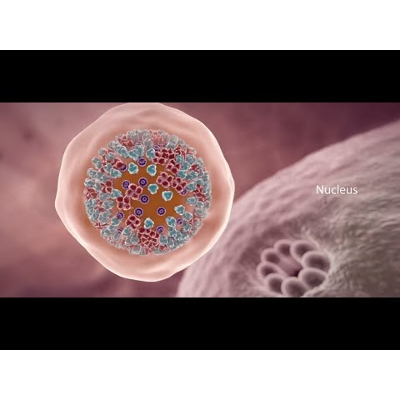 COVID-19 Animation: What Happens If You Get Coronavirus?