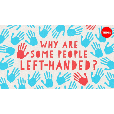 Why are some people left-handed? - Daniel M. Abrams icon