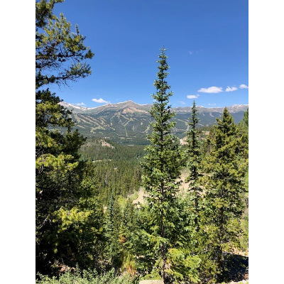 How to write community health education behavioral objectives icon