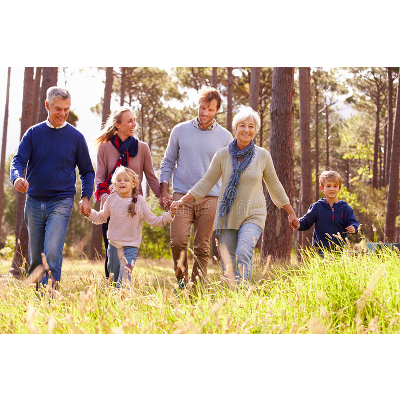 Child, Family, and Community icon