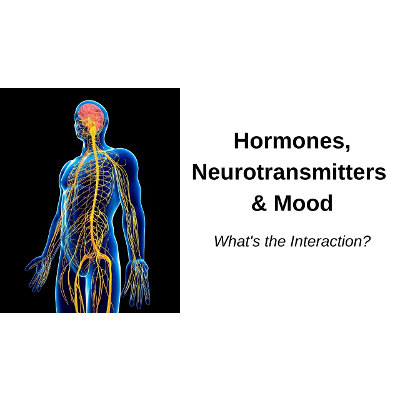 Interactions of Hormones and Neurotransmitters | Integrative Behavioral Health icon