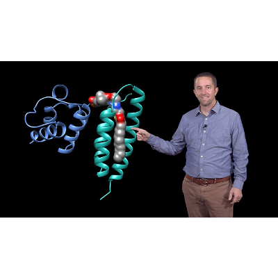 Mitochondria: The Fuel and the Fire icon