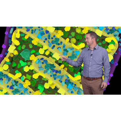 Mitochondrial Metabolism and Cell Decisions