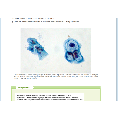 Introduction to Biology - 130S icon