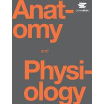 Human Physiology - Anatomy and Physiology