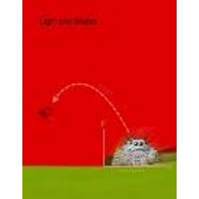 Light and Matter icon