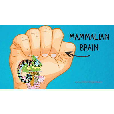 The Three Main Parts Of Your Brain by Dr. Russ Harris icon