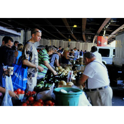 Baltimore Food Systems: A Case Study of Urban Food Environments icon