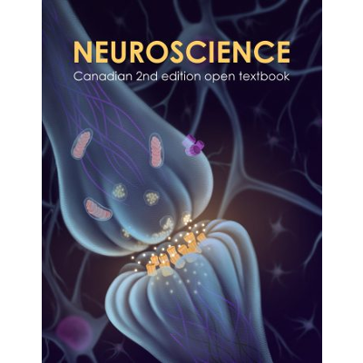 Neuroscience, 2nd Canadian edition icon