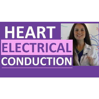 Electrical Conduction System of the Heart Cardiac | SA Node, AV Node, Bundle of His icon