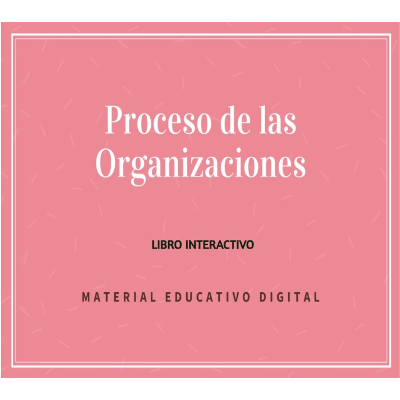 Libro Digital. Proceso de las Organizaciones icon