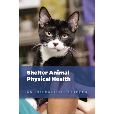 Shelter Animal Physical Health icon