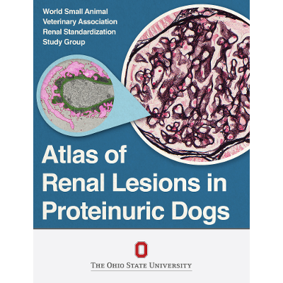 Atlas of Renal Lesions in Proteinuric Dogs icon