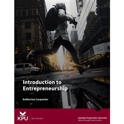 Introduction to Entrepreneurship icon