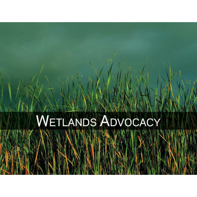 Wetlands Watch - Managed Retreat Planning icon