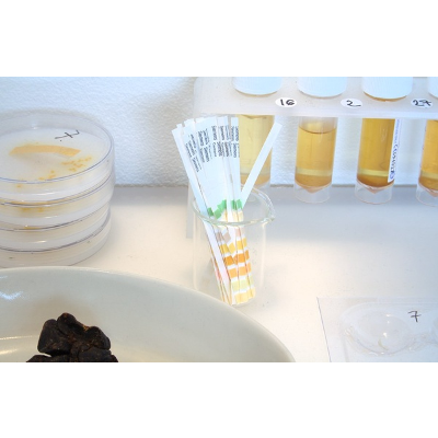 Lesson Three: Urinalysis. Laboratory Examination icon