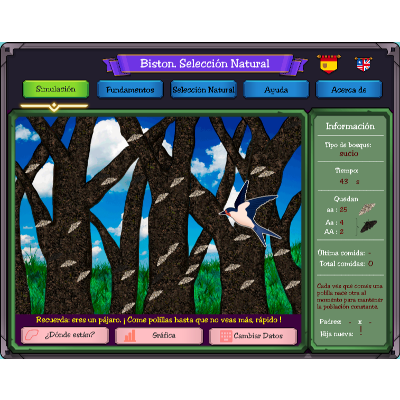 Natural Selection Simulator