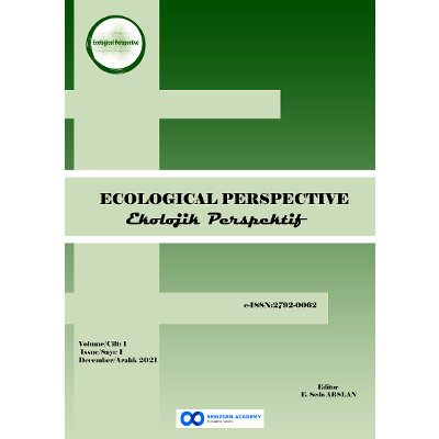 Ecological Perspective icon