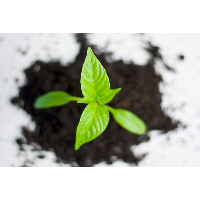 Foundations in Sustainability Systems (EME 504) icon