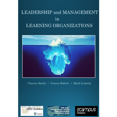Leadership and Management in Learning Organizations icon