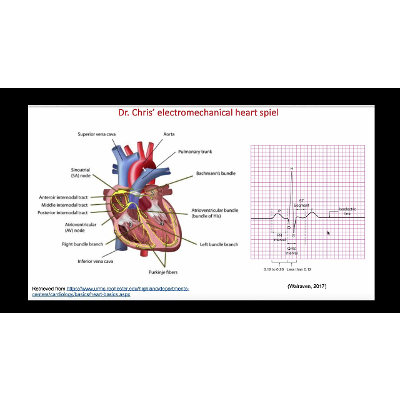 Dr. Chris' Electromechanical Heart Spiel icon