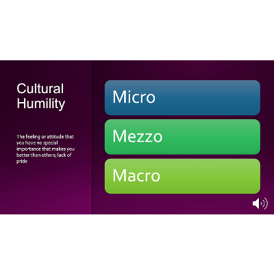 Culture and Cultural Competency icon