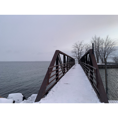 Designed to Align: Creating Intentional and Accessible Curricula icon