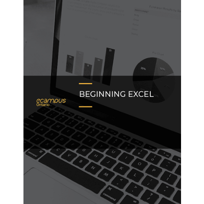Beginning Excel icon