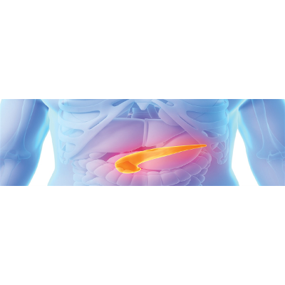 Exocrine pancreatic insufficiency: Prevalence, diagnosis, and management. icon