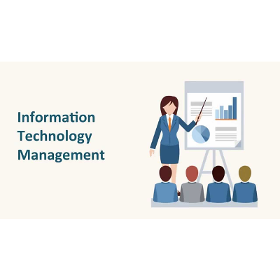 Information Technology Management icon
