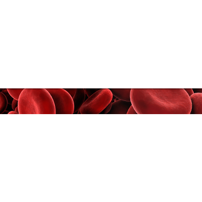 Safe Blood Transfusion Practices among Nurses in a Major Referral Center in Ghana icon