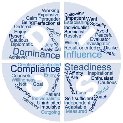 DISC personality test icon