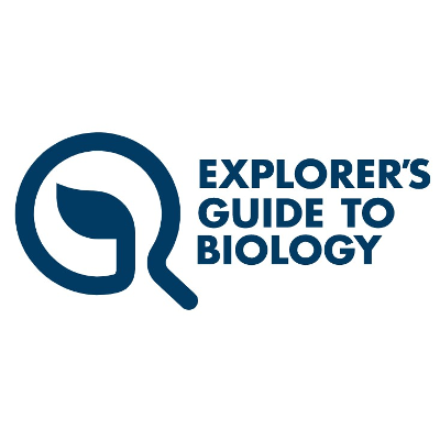 BioDictionary | Graphics & descriptions of biological terms