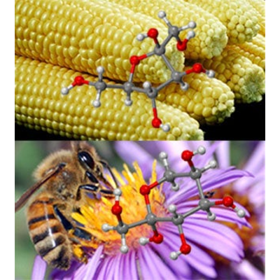 General Biochemistry icon