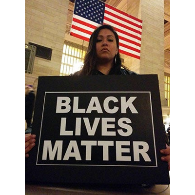 Race, Ethnicity, and American Politics icon