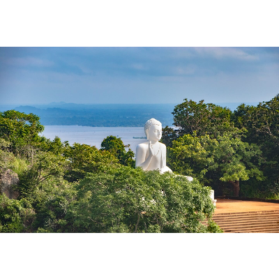 The Function of Buddhism icon