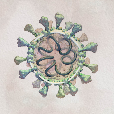 Biology of SARS-CoV-2 icon