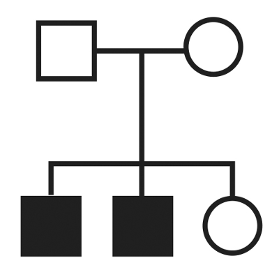 Inheritance and Mutations in a Single-Gene Disorder icon
