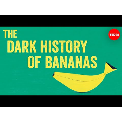 The dark history of bananas icon