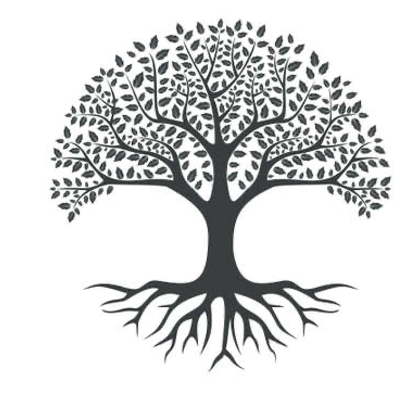 Ancestry Lesson Plan icon