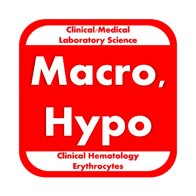 Macrocytic and Hypoproliferative Anemias