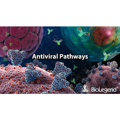 Antiviral Pathways icon